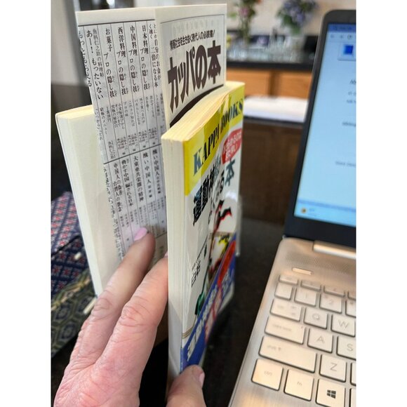 Vintage Kappa Books Japanese The Story Of The Dynamic Spirit Title Yu Shiroishi - Picture 2 of 7